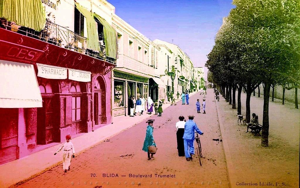 Blida - Bd trumelet.jpg